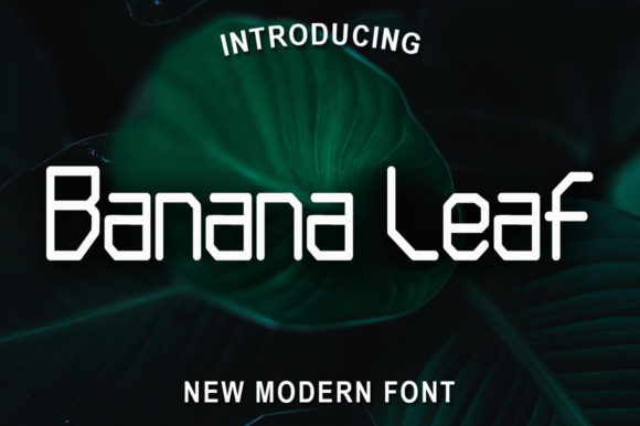 Banana Leaf: A Clean Display Font That Elevates Small Business Branding