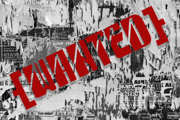 Wanted: A Bold, Unapologetic Display Font
